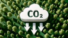 Um bis 2045 klimaneutral zu werden, muss  dafür gesorgt werden, dass die Kohlendioxid-Emissionen stark und dauerhaft sinken. CDR-Maßnahmen allein können die großen Mengen an Kohlendioxid, die in Deutschland ausgestoßen werden, nicht entfernen.