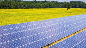 Die heimische Nachfrage nach Solarstromanlagen ist gewachsen, die Investitionsbereitschaft ging jedoch zurück.