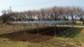 Für ein Projekt zum Solar Sharing wurden auf der japanischen Insel Sado CIS-Module über einem Feld mit frisch gepflanztem Brokkoli installiert.