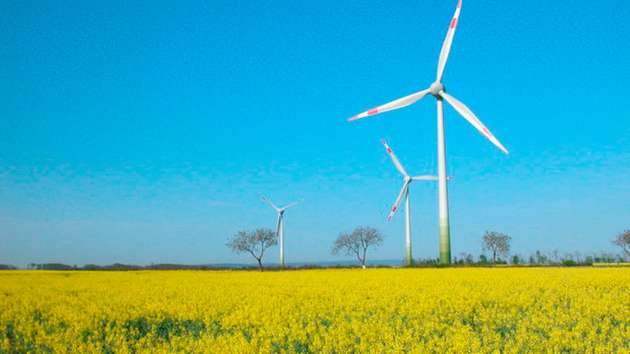 Windenergie ist eine zentrale Säule bei der Stromerzeugung aus erneuerbaren Energien. Wir haben für Sie die wichtigsten Eckdaten rund um das Thema Windenergie zusammengefasst.