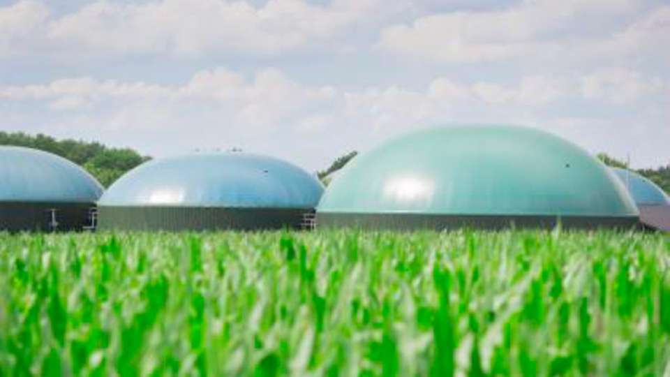 
                        
                        
                          Mehr Ausbeute: Mithilfe statistischer Versuchsplanung kann die Biogasproduktion erhöht werden.
                        
                      