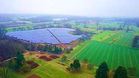 So groß wie zwölf Fußballfelder: Der Solarpark erstreckt sich auf einem alten Deponiegelände.