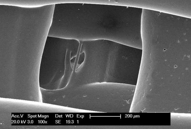 Diese Aufnahme entstand mit der SEM-Technik (Scanningelektronenmikroskop) eines Druckstücks mit Poren, damit sich die Zellen frei in seinem Inneren bewegen können. Außerdem zersetzt sich dieses Material und löst sich mit der Zeit auf, da die Zellen es durch menschliches Gewebe ersetzen