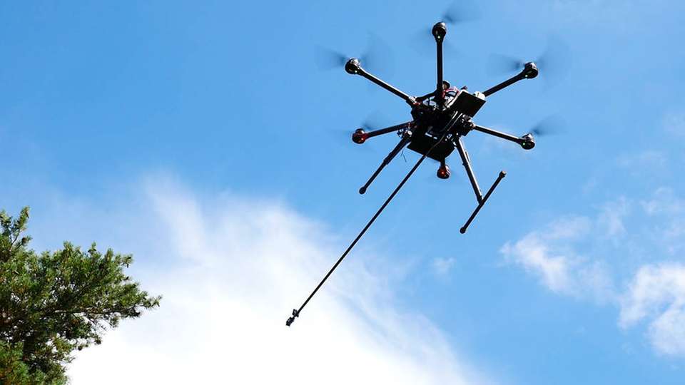 Die kleine, wendige Drohne versprüht Pestizide nur auf befallene Gebiete.