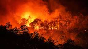 Ein Waldbrand ist eines der zerstörerischsten Naturereignisse. Mit einer neu entwickelten Flüssigkeit sollen künftig selbst Brände dieser Größenordnung leichter bekämpft werden können.
