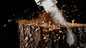 In der Holzindustrie fallen massig Sägespäne an. Forscher wollen sie nun zu nachhaltigen Werkstoffen umfunktionieren.