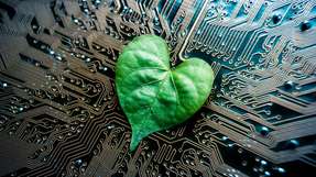 Sogenannte „Grüne Technologien“ sollen laut Prognosen jährlich im Schnitt um sieben Prozent wachsen.
