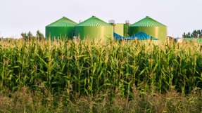 Die im Vorhaben erarbeiteten Modellierungsergebnisse haben gezeigt, in welchen Sektoren Biomasse ihren kostenoptimalen Nutzen hat.