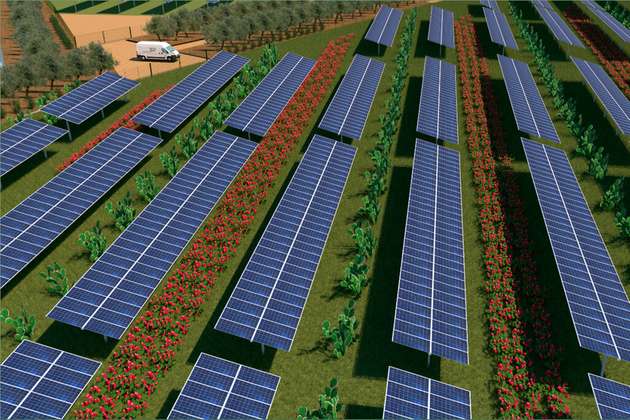 Sens Italia erweitert Service: Vom Solarparkbetreiber zum Landwirt - landwirtschaftliche Pflege und Ernte als Teil des Full-Service-Angebots.