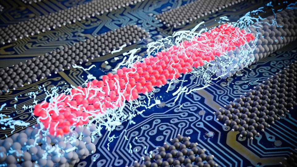Gemeinsam mit einem internationalen Team an Forschenden haben Empa-Wissenschaftler erfolgreich einzelne atomar präzise Nanobänder mit Elektroden versehen.
