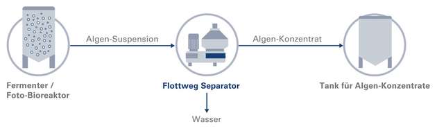 Die Algensuspension fließt aus dem Photobioreaktor direkt in den Flottweg Separator. Durch die hohe Zentrifugalkraft entwässert der Separator die Algensuspension zu einem Algenkonzentrat mit dickflüssiger Konsistenz.