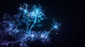 Das neu entwickelte neuronale Netz arbeitet nicht mit Strom, sondern mit sogenannten aktiven kolloidalen Teilchen.