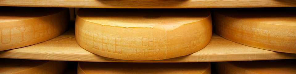 Weltberühmt und äußerst schmackhaft: Gruyère Käse aus der Schweiz 