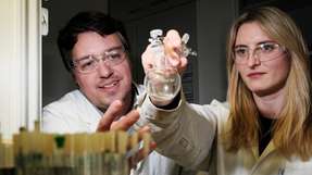 Dr. André Schäfer und Inga Bischoff im Labor mit einer Probe ihres neuen Dimetallocens.