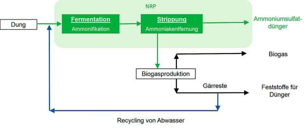 Stickstoffrecycling: Mikroorganismen wandeln Stickstoff in Ammoniak um, der durch Strippung entfernt wird, bevor das Substrat in einen Biogasfermenter kommt.