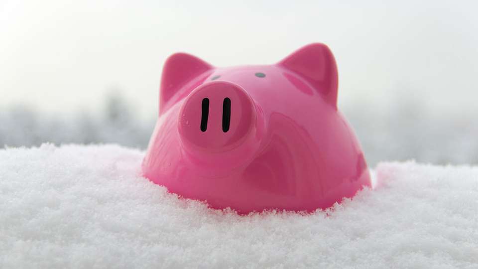 Schwein gehabt: Effektive Kühllösungen sparen Geld.