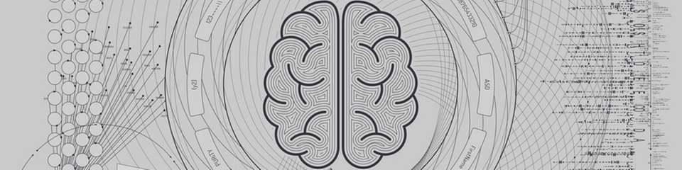 Die Test-Programmierer neigten dazu, die Vorschläge des KI-Assistenten ohne kritische Prüfung anzunehmen, während es zwischen den menschlichen Kollegen viel häufiger kritische Rückfragen und ein gesundes Misstrauen, ob der jeweilige Partner wirklich alles richtig gemacht hat, gab.
