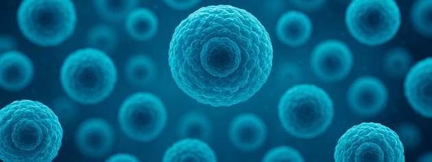 TUM-Forschende nutzen Nanoroboter, um Stammzellen durch präzise mechanische Reize in Knochenzellen zu verwandeln. Das Verfahren könnte künftige regenerative Therapien deutlich beschleunigen.