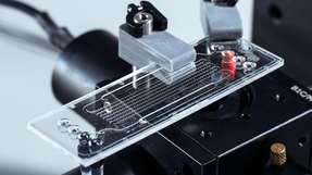 Mikrofluidischer Chip des Sensorsystems: Er ermöglicht den schnellen Nachweis von PFAS direkt vor Ort in wässrigen Proben.