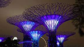 Gegenüber den Supertrees in Singapur (im Bild) wirkt die Konstruktion der amerikanischen Wissenschaftler unscheinbar. Die Idee dahinter ist es allerdings nicht.