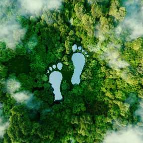 Den CO2-Fußabdruck zu reduzieren, wird immer mehr zu einer wirtschaftlichen Anforderung.