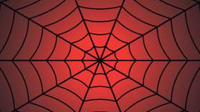 Der Batteriemarkt soll laut aktuellen Prognosen bis 2030 auf ein Kapazitätsvolumen von 2.600 GWh anwachsen.