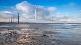 Die Vision sind hybride Offshore-Parks, in denen einzelne Wellenkraftwerke zwischen Windenergieanlagen platziert werden, um effizienter als Energieerzeugung genutzt werden zu können. 