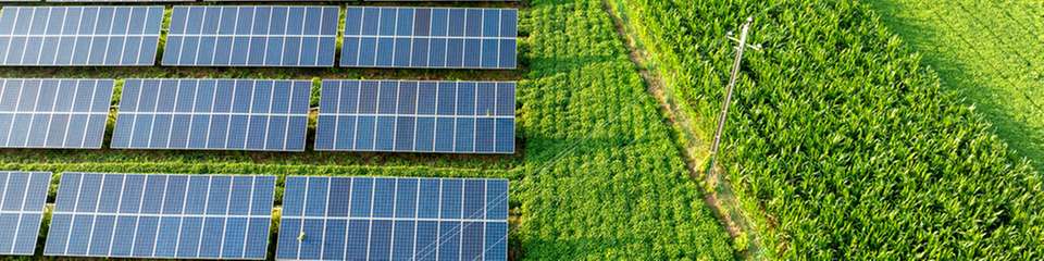 Die Photovoltaikbranche in Deutschland steht trotz hoher Nachfrage unter Druck. Während sie einst von festen Einspeisevergütungen beflügelt wurde, kämpfen Projektentwickler heute mit langwierigen Genehmigungsverfahren und unübersichtlichen Ausschreibungsregeln.