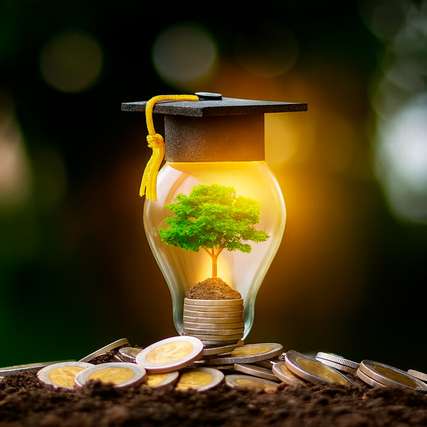 Sonnenenergie für Bildung: Universitäten in Baden-Württemberg setzen auf Grünstrom und sichern sich eine CO2-arme Zukunft.