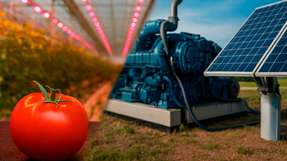 Mithilfe intelligenter Sektorkopplung steuert Hagdorn Tomaten die Strom- und Wärmeerzeugung flexibel nach Marktpreisen.