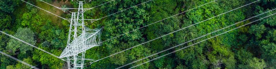 Der Weg zu Netto-Null – ohne KI nicht zu bewältigen, finden die meisten Entscheidungsträger.