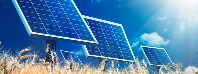 Neben ökologischen Vorteilen kann Agri-PV auch zur wirtschaftlichen Stabilität landwirtschaftlicher Betriebe beitragen.