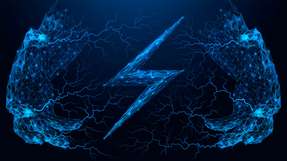 Digimondo und Janitza präsentieren eine integrierte Lösung, die GridVis-Messdaten mit der Netzdatenplattform Niotix verbindet, um Netzprozesse transparenter zu gestalten.