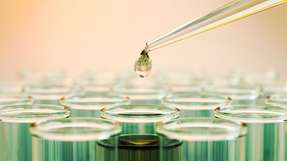 Im HyDi-Projekt Hallein soll eine 20-MW-Elektrolyse rund 2.600 t Wasserstoff pro Jahr liefern – und das ausschließlich für die Produktion von grünem E-Methanol.