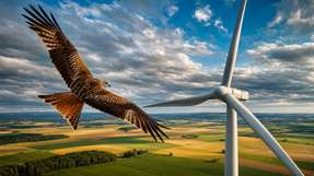 Der Bird- und BatRecorder 2.0 soll die Bereiche Windenergie und Artenschutz besser miteinander verbinden. Kameras und Sensoren erfassen Vögel und Fledermäuse, eine KI wertet die Daten anschließend aus.