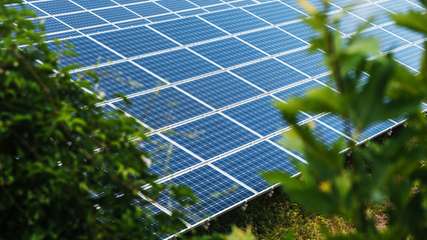 Solarmodule können in Deutschland oder in China produziert werden. Eine Untersuchung der TH Köln zeigt, dass bei der Produktion in Deutschland rund ein Viertel weniger Treibhausgase emittiert werden.