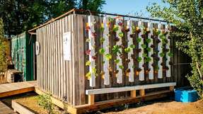 Die vertikale Hydroponik-Farm „Shower-Tower 61“ besteht aus acht Säulen, die an der Rückwand von Duschkabinen angebracht sind.