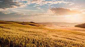 Landwirschaftlich genutzte Böden in Südeuropa