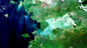 Satellitenbild der Kisumu-Bucht am Victoriasee (Afrika). Immer wieder beeinträchtigen Algenblüten-Teppiche die Wasserqualität.