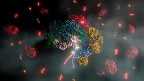 Proteinkomplex für die biologische Methanproduktion