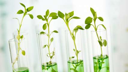 Ein neu entwickeltes bimetallisches Katalysatorsystem ermöglicht, das Klimagas CO2 gemeinsam mit grünem Wasserstoff als Rohstoff für die Herstellung industriell wichtiger Chemikalien zu nutzen.