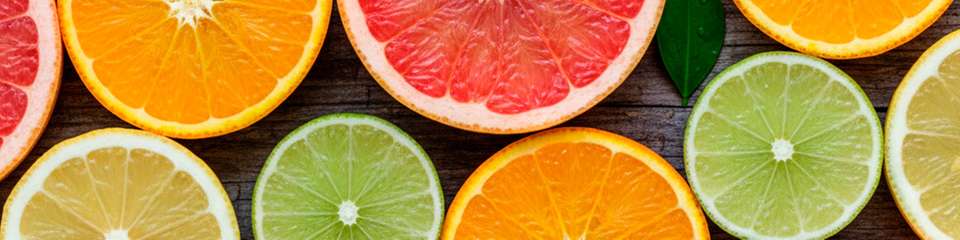 Automations- und Softwarelösungen für eine effiziente Frische- und Tiefkühllogistik sowie ein Best-Practice-Projekt.