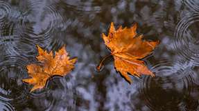 IoT-Pegelüberwachung: Messstationen liefern Wasserstände in Echtzeit an eine zentrale Plattform, die Grenzwerte prüft und bei Niedrig- oder Hochwasser automatisch alarmiert.