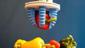 Soft-Greifer ermöglichen das Handling empfindlicher Lebensmittel ohne Druckstellen. Die flexiblen Greiffinger passen sich der Form des Produkts – wie hier einer Paprika – individuell an.