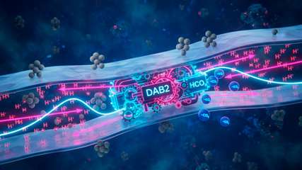 Der Membrankomplex DAB2 ermöglicht lithoautotrophen Mikroorganismen, CO2 intrazellulär zu HCO3- umzuwandeln und anzureichern – gekoppelt an ein Konzentrationsgefälle (Protonengradient) über der Zellmembran und damit ATP-unabhängig.