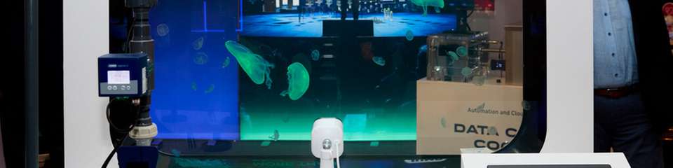 Die „Jellyfish Farm – KI, die Quallen versteht“: Das Exponat verbindet Einblicke in die Welt mariner Lebewesen mit fortschrittlicher Bildverarbeitungstechnologie.