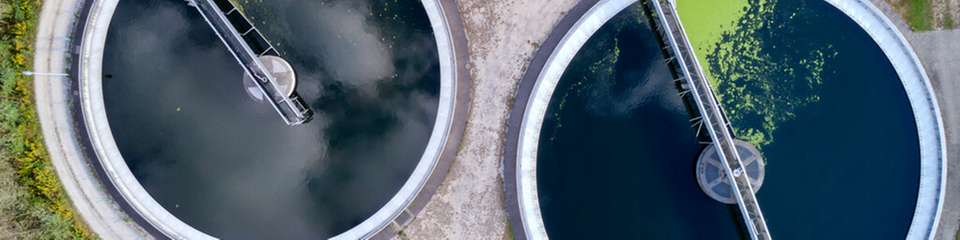 Ammonium ist giftig für Fische, befeuert Algenblüten und entzieht Gewässern Sauerstoff. Ab 2027 müssen Kläranlagen deutlich mehr davon entfernen. Ein Team aus Ulm geht noch einen Schritt weiter.