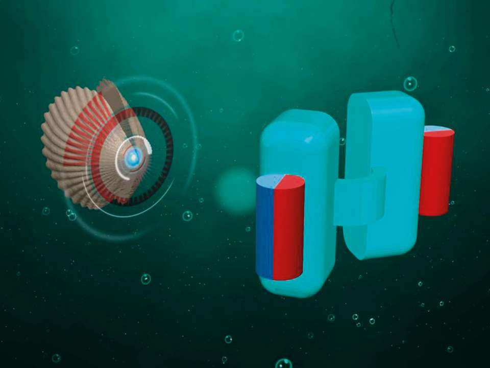 DNA Box наноробот