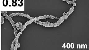 Die Beschaffenheit der POM-Kristalle auf den Kohlenstoff-Nanoröhrchen lässt sich durch die Ultraschall-Intensität beeinflussen (hier: 4 h bei 60 kHz).