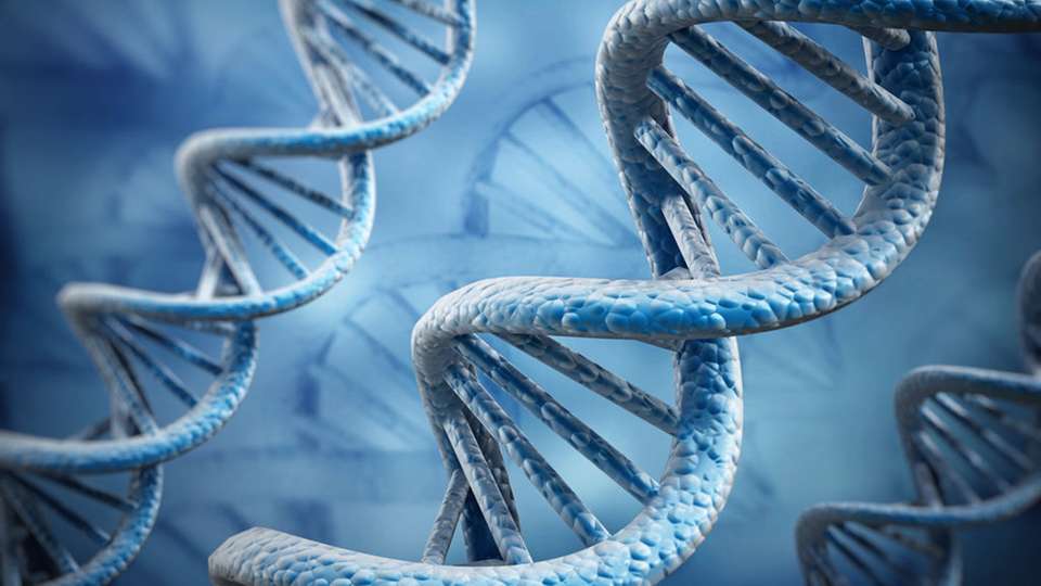 Microsoft forscht daran, wie sich künstliche DNA in Zukunft prinzipiell als Speichermedium nutzen lassen soll.